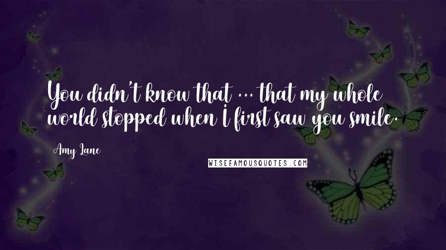 Amy Lane Quotes: You didn't know that ... that my whole world stopped when I first saw you smile.