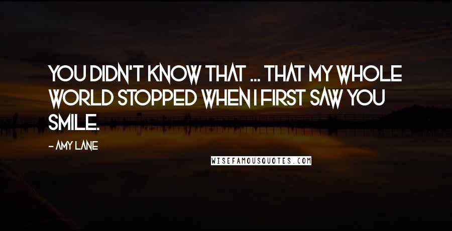 Amy Lane Quotes: You didn't know that ... that my whole world stopped when I first saw you smile.