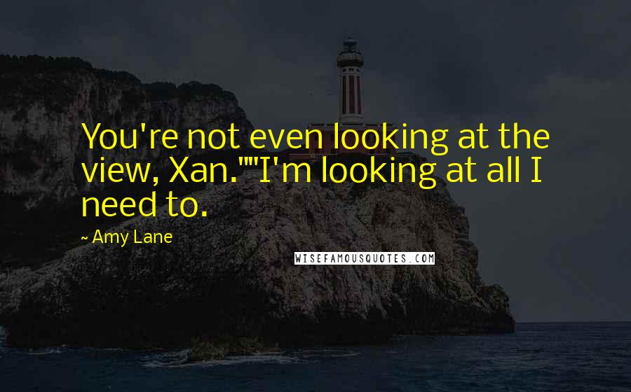 Amy Lane Quotes: You're not even looking at the view, Xan.""I'm looking at all I need to.