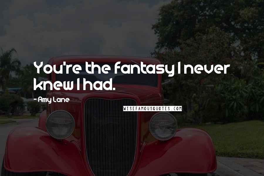 Amy Lane Quotes: You're the fantasy I never knew I had.