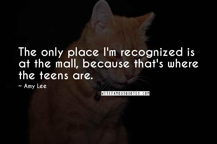 Amy Lee Quotes: The only place I'm recognized is at the mall, because that's where the teens are.