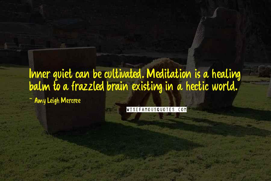 Amy Leigh Mercree Quotes: Inner quiet can be cultivated. Meditation is a healing balm to a frazzled brain existing in a hectic world.