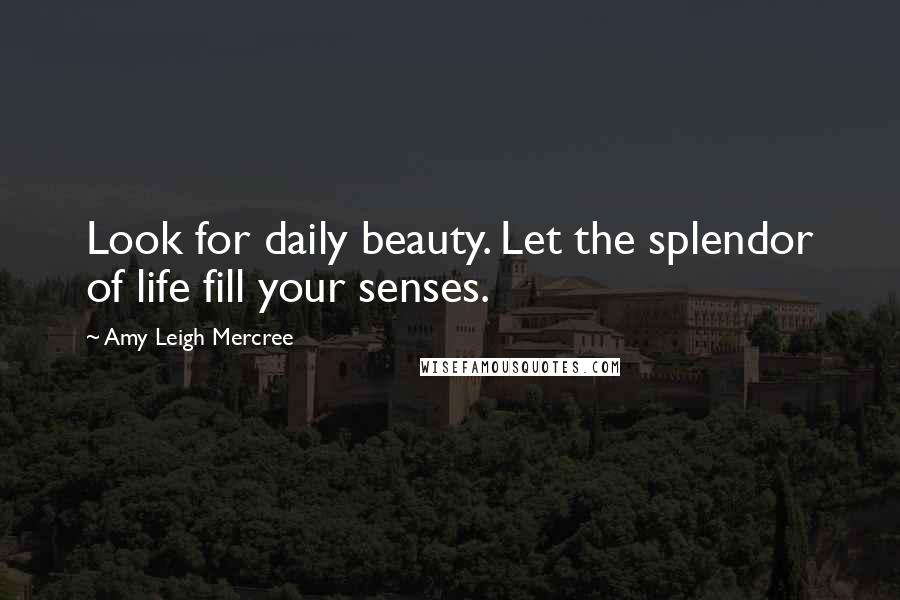 Amy Leigh Mercree Quotes: Look for daily beauty. Let the splendor of life fill your senses.