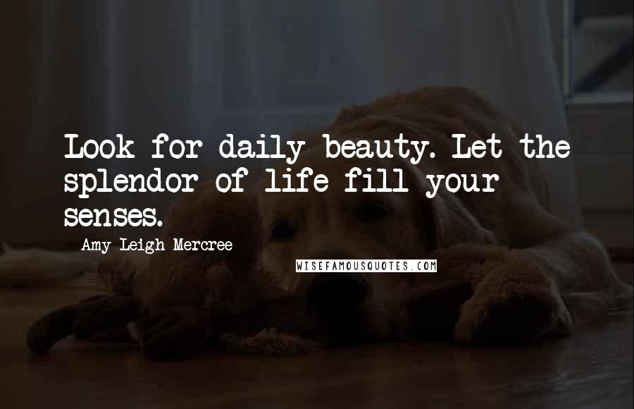 Amy Leigh Mercree Quotes: Look for daily beauty. Let the splendor of life fill your senses.