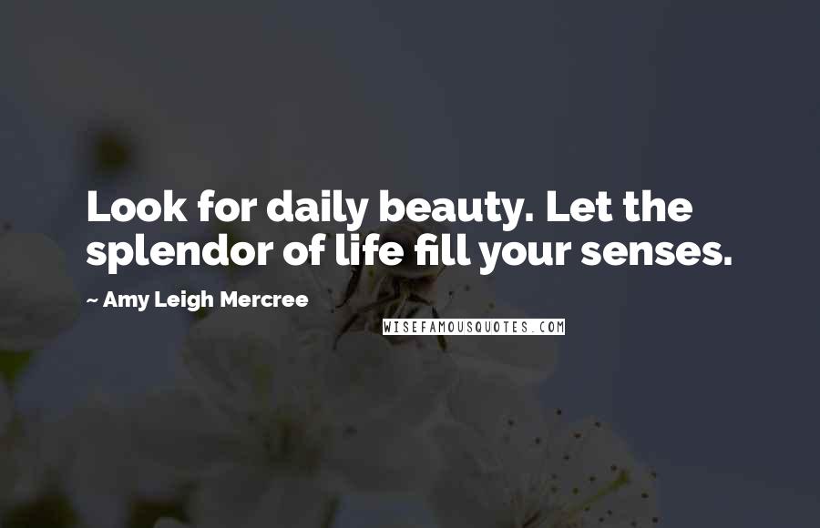 Amy Leigh Mercree Quotes: Look for daily beauty. Let the splendor of life fill your senses.