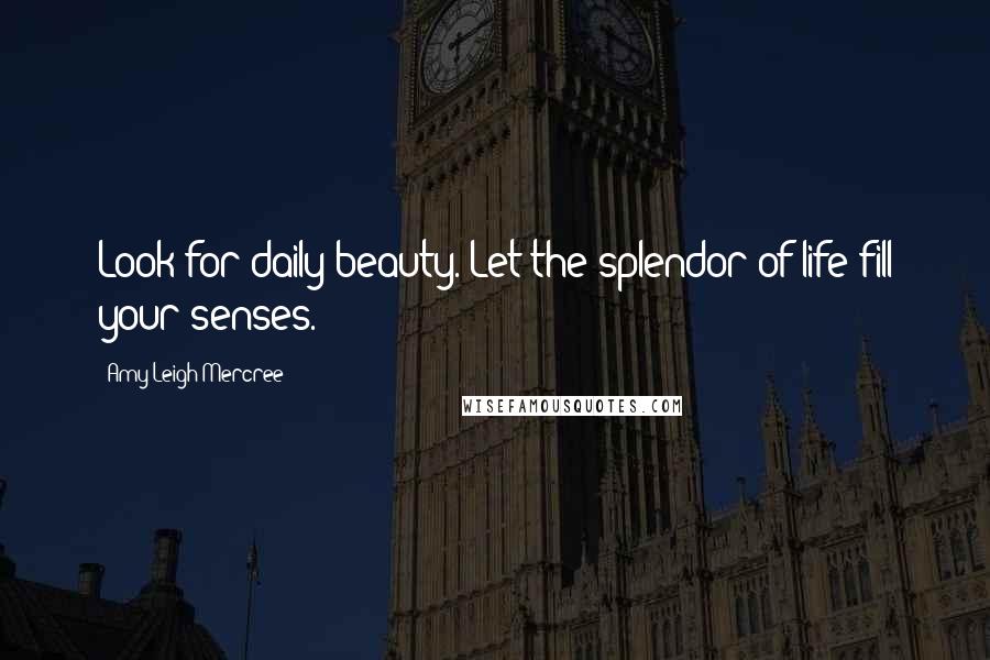 Amy Leigh Mercree Quotes: Look for daily beauty. Let the splendor of life fill your senses.