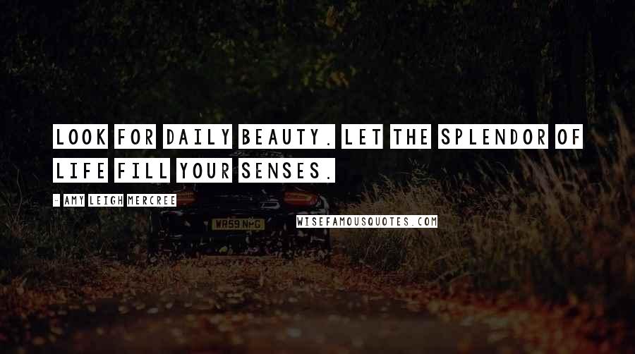 Amy Leigh Mercree Quotes: Look for daily beauty. Let the splendor of life fill your senses.