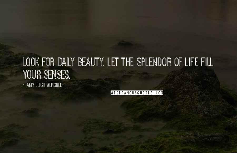 Amy Leigh Mercree Quotes: Look for daily beauty. Let the splendor of life fill your senses.