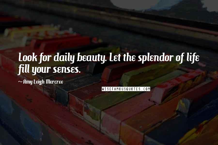 Amy Leigh Mercree Quotes: Look for daily beauty. Let the splendor of life fill your senses.