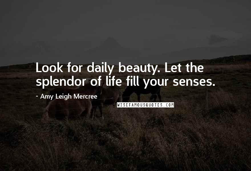 Amy Leigh Mercree Quotes: Look for daily beauty. Let the splendor of life fill your senses.