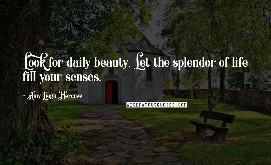 Amy Leigh Mercree Quotes: Look for daily beauty. Let the splendor of life fill your senses.