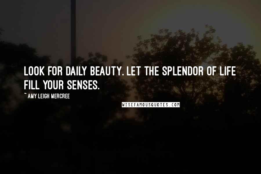 Amy Leigh Mercree Quotes: Look for daily beauty. Let the splendor of life fill your senses.