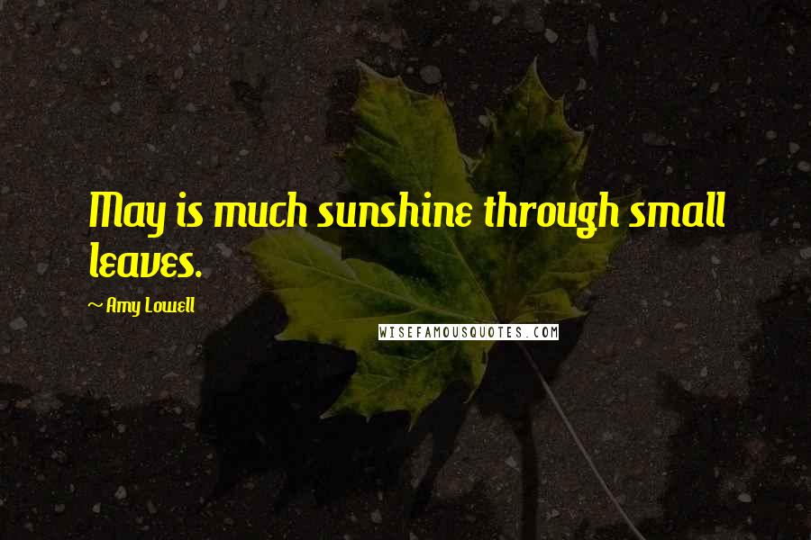 Amy Lowell Quotes: May is much sunshine through small leaves.