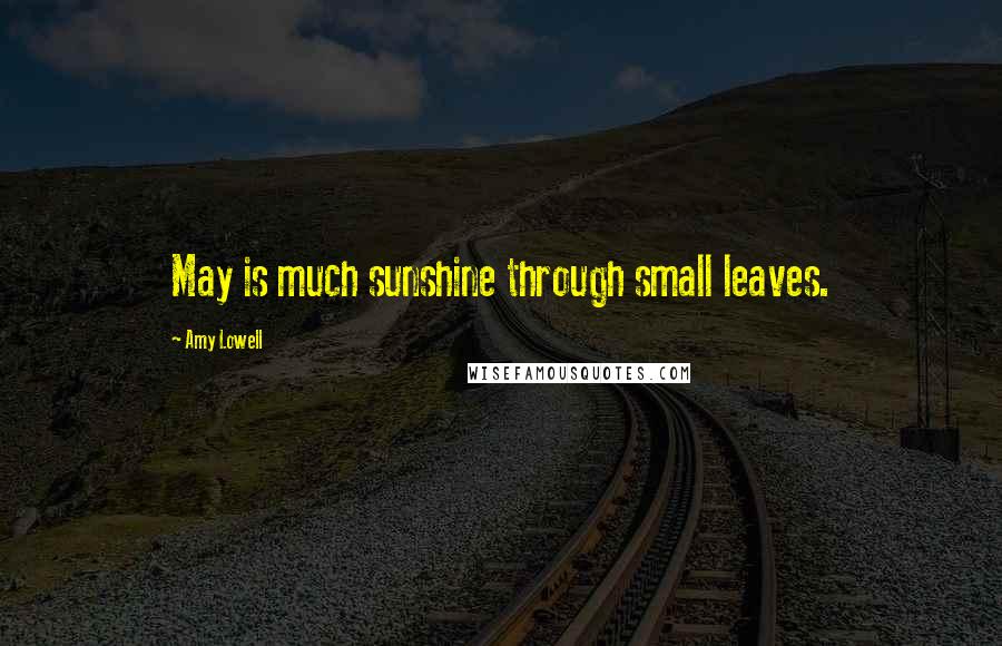 Amy Lowell Quotes: May is much sunshine through small leaves.