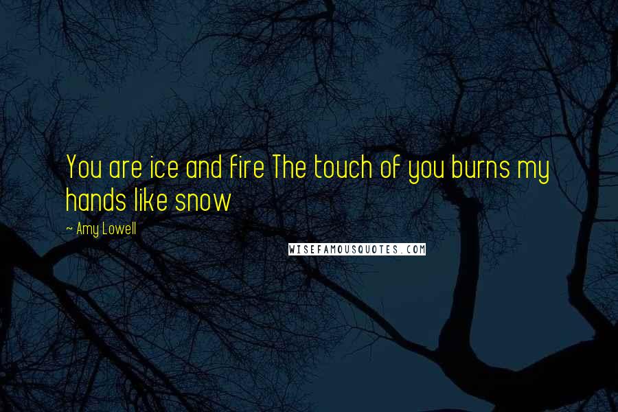 Amy Lowell Quotes: You are ice and fire The touch of you burns my hands like snow
