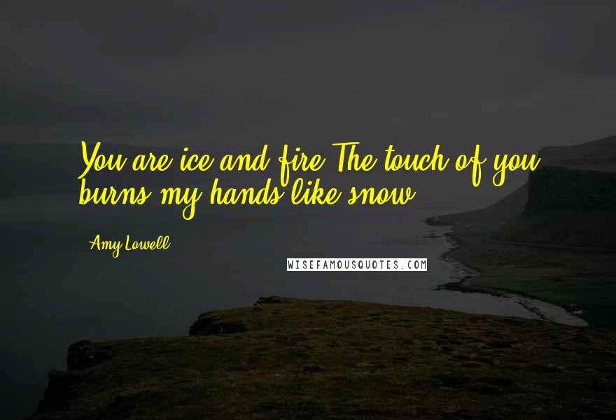 Amy Lowell Quotes: You are ice and fire The touch of you burns my hands like snow