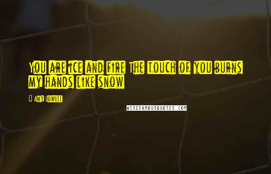 Amy Lowell Quotes: You are ice and fire The touch of you burns my hands like snow