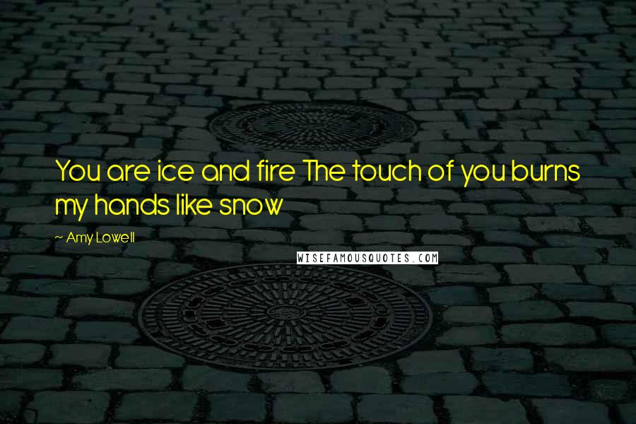 Amy Lowell Quotes: You are ice and fire The touch of you burns my hands like snow
