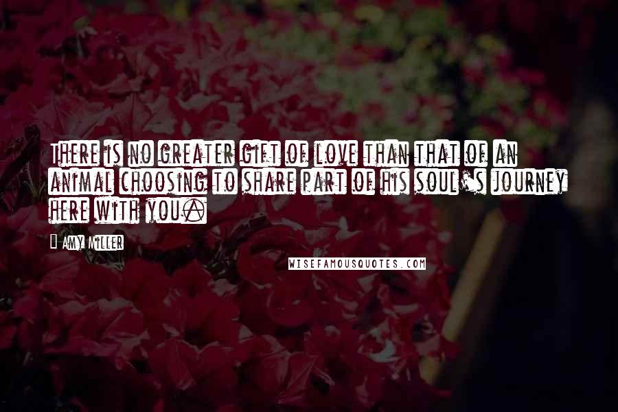Amy Miller Quotes: There is no greater gift of love than that of an animal choosing to share part of his soul's journey here with you.