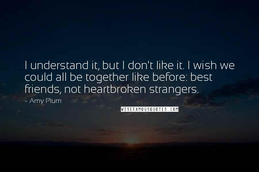 Amy Plum Quotes: I understand it, but I don't like it. I wish we could all be together like before: best friends, not heartbroken strangers.