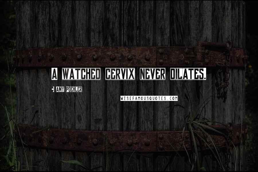Amy Poehler Quotes: A watched cervix never dilates.