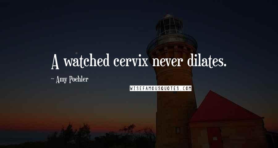 Amy Poehler Quotes: A watched cervix never dilates.