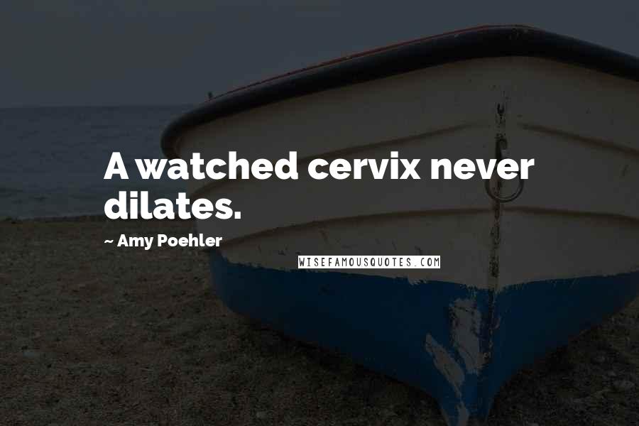 Amy Poehler Quotes: A watched cervix never dilates.