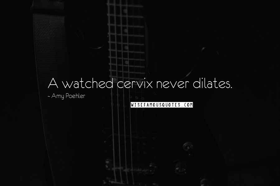 Amy Poehler Quotes: A watched cervix never dilates.
