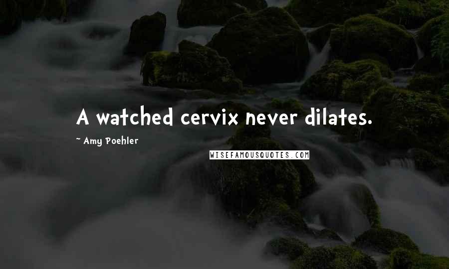 Amy Poehler Quotes: A watched cervix never dilates.