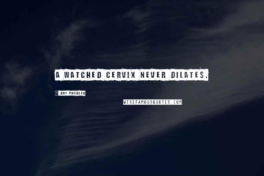 Amy Poehler Quotes: A watched cervix never dilates.