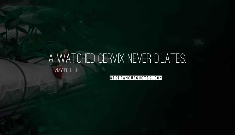 Amy Poehler Quotes: A watched cervix never dilates.