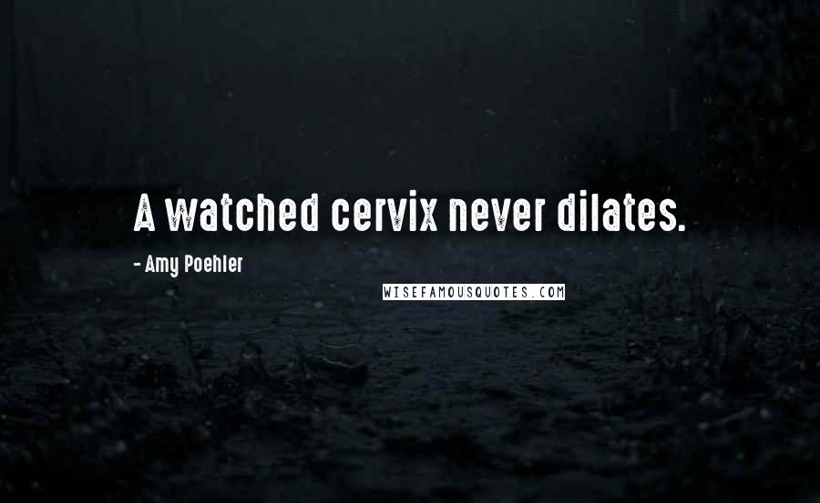 Amy Poehler Quotes: A watched cervix never dilates.