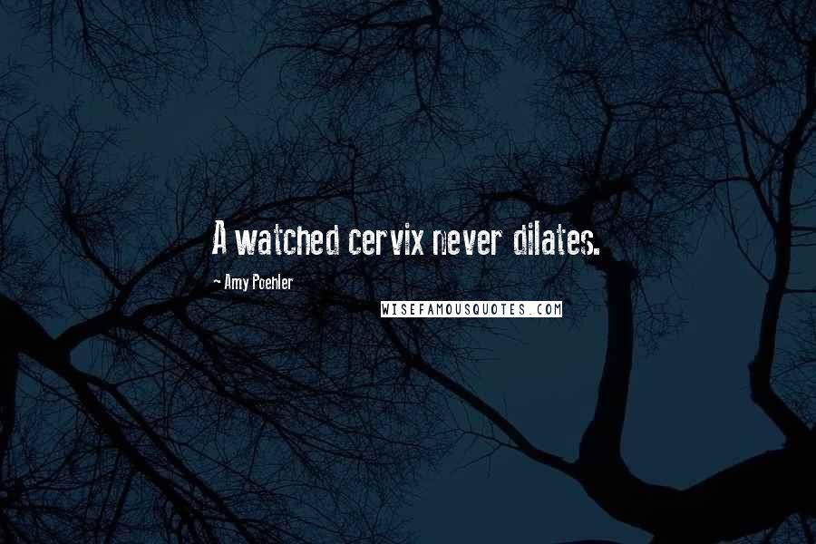 Amy Poehler Quotes: A watched cervix never dilates.