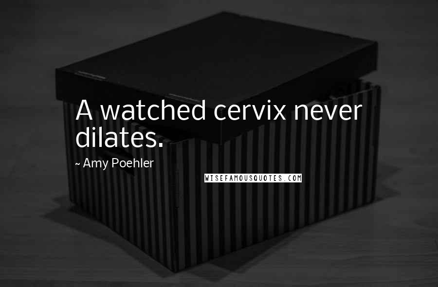 Amy Poehler Quotes: A watched cervix never dilates.