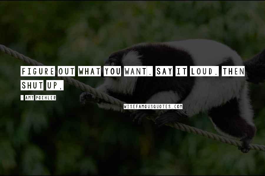 Amy Poehler Quotes: Figure out what you want. Say it loud. Then shut up,