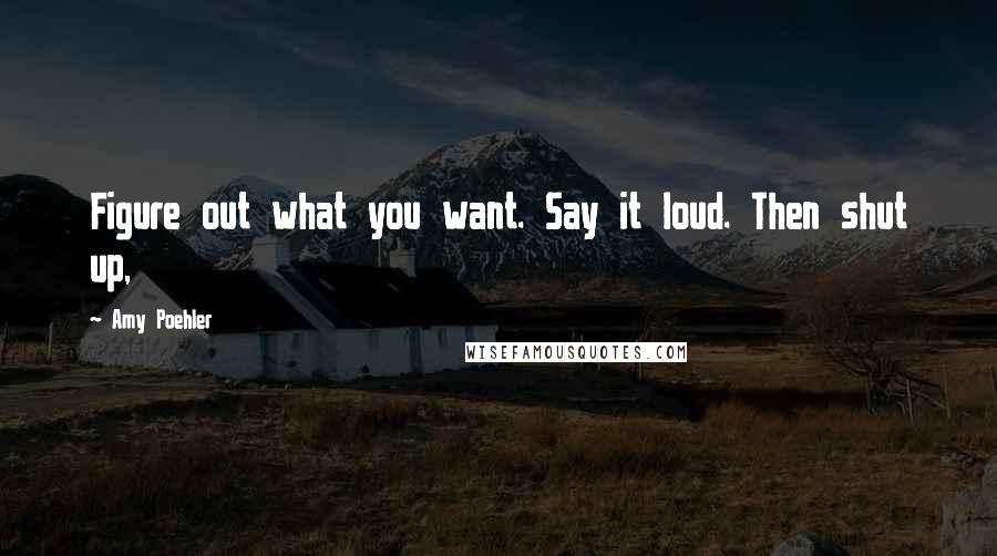 Amy Poehler Quotes: Figure out what you want. Say it loud. Then shut up,