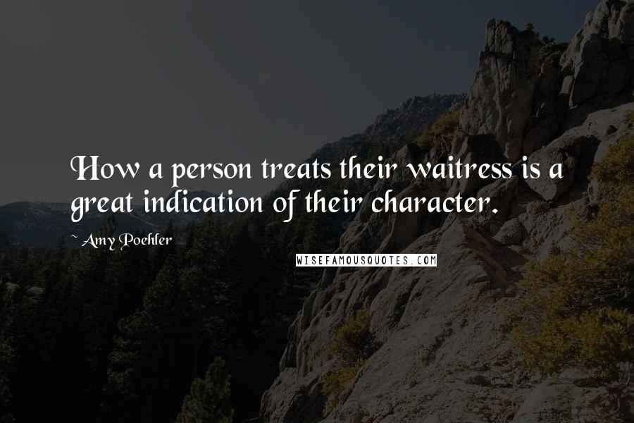 Amy Poehler Quotes: How a person treats their waitress is a great indication of their character.
