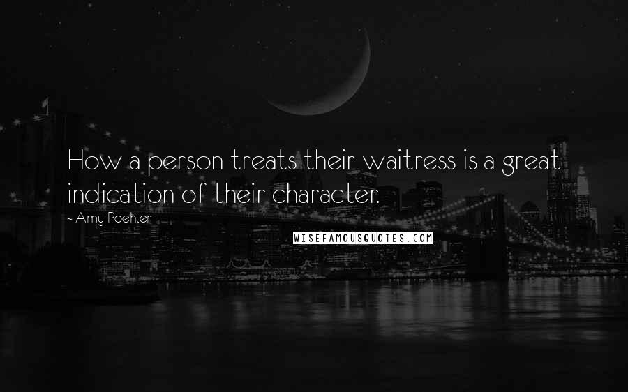 Amy Poehler Quotes: How a person treats their waitress is a great indication of their character.