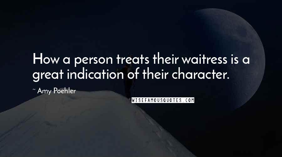 Amy Poehler Quotes: How a person treats their waitress is a great indication of their character.