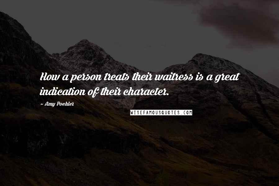 Amy Poehler Quotes: How a person treats their waitress is a great indication of their character.