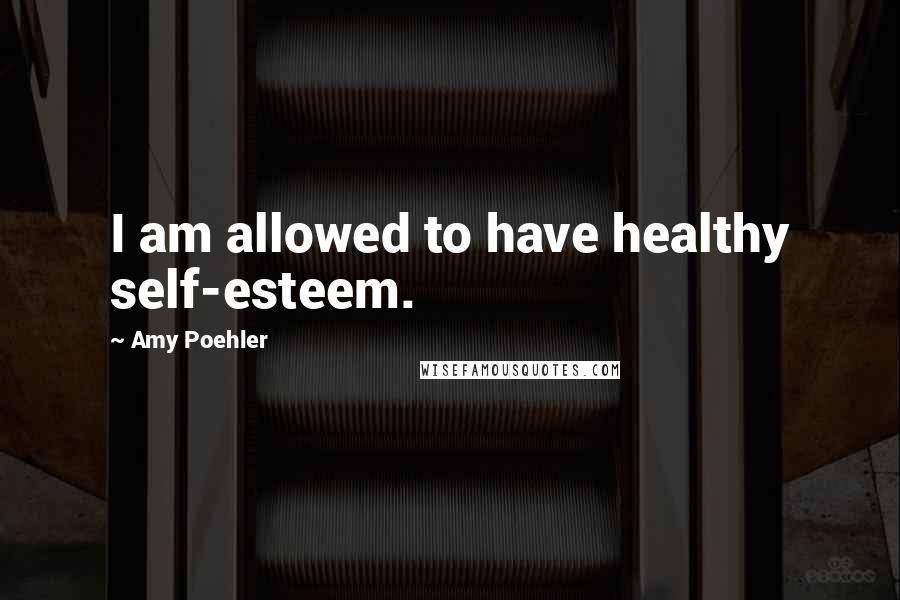 Amy Poehler Quotes: I am allowed to have healthy self-esteem.