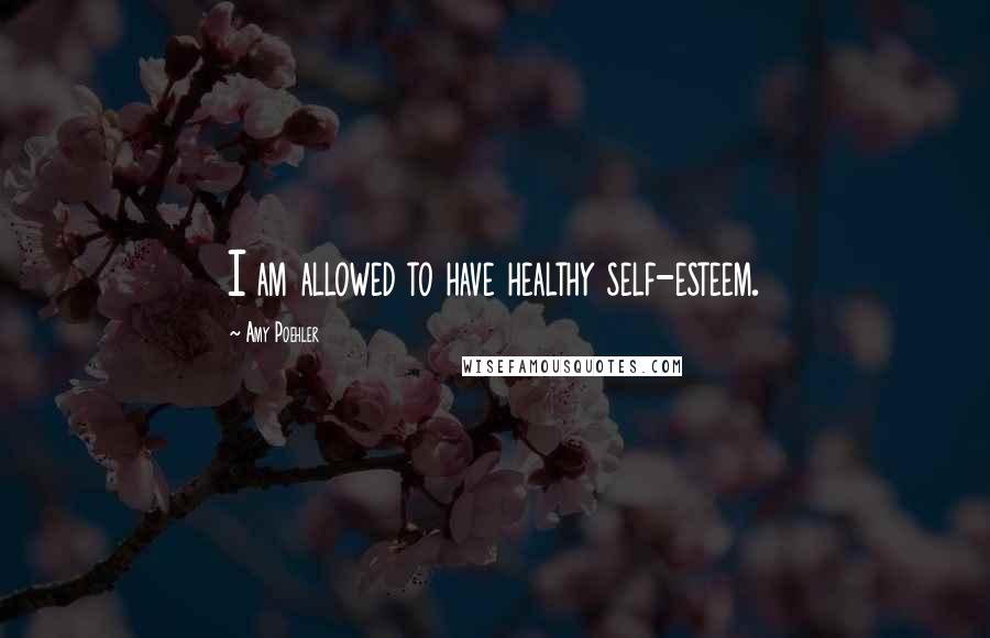 Amy Poehler Quotes: I am allowed to have healthy self-esteem.