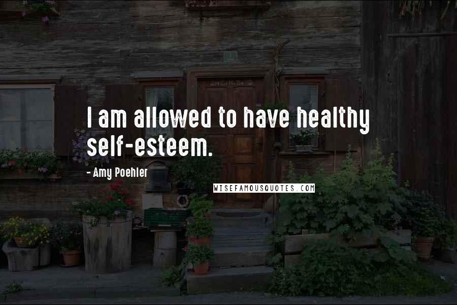 Amy Poehler Quotes: I am allowed to have healthy self-esteem.