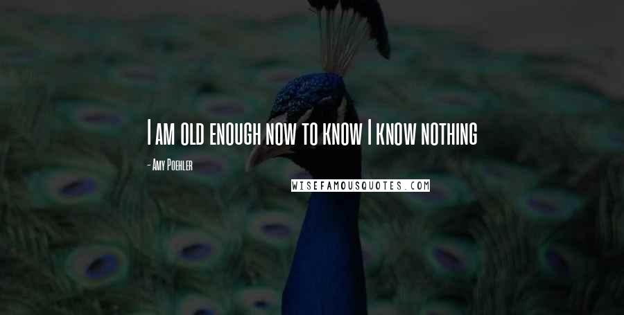 Amy Poehler Quotes: I am old enough now to know I know nothing