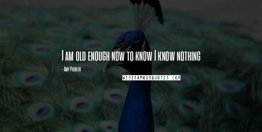 Amy Poehler Quotes: I am old enough now to know I know nothing