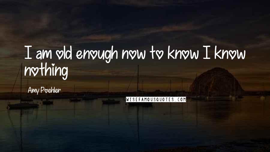 Amy Poehler Quotes: I am old enough now to know I know nothing