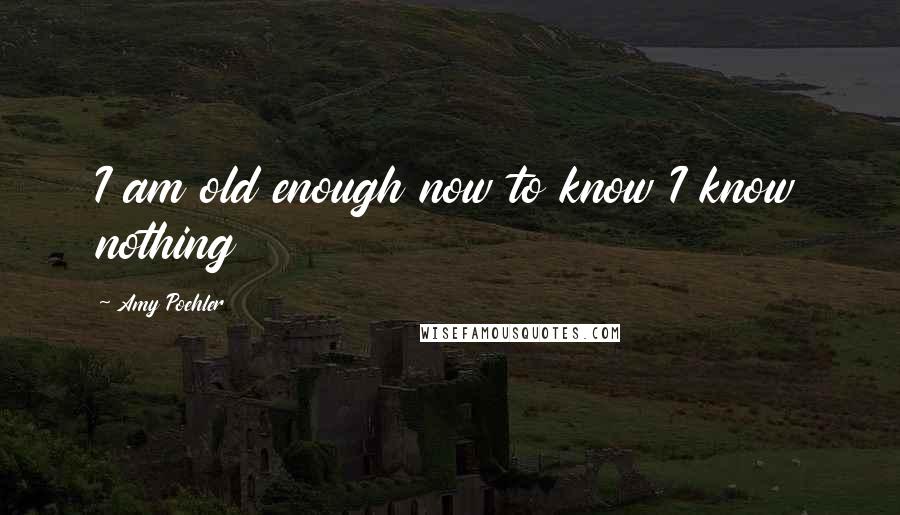 Amy Poehler Quotes: I am old enough now to know I know nothing