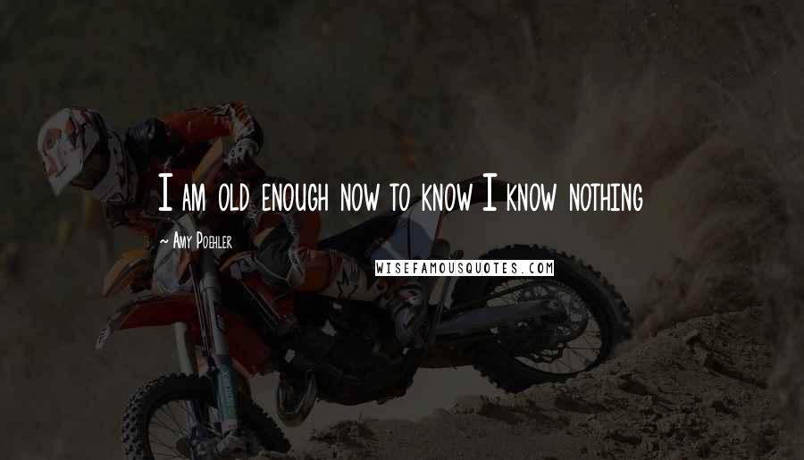 Amy Poehler Quotes: I am old enough now to know I know nothing