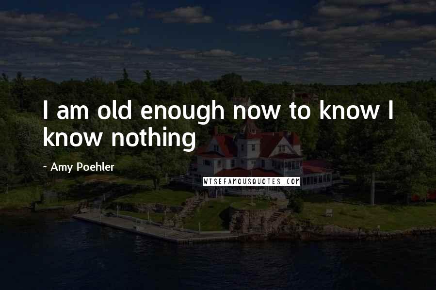 Amy Poehler Quotes: I am old enough now to know I know nothing