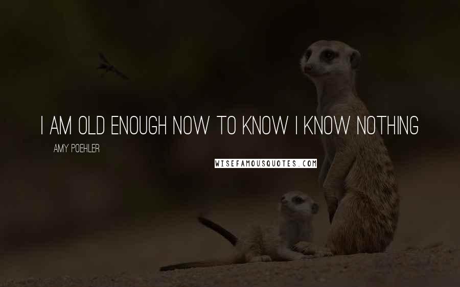 Amy Poehler Quotes: I am old enough now to know I know nothing